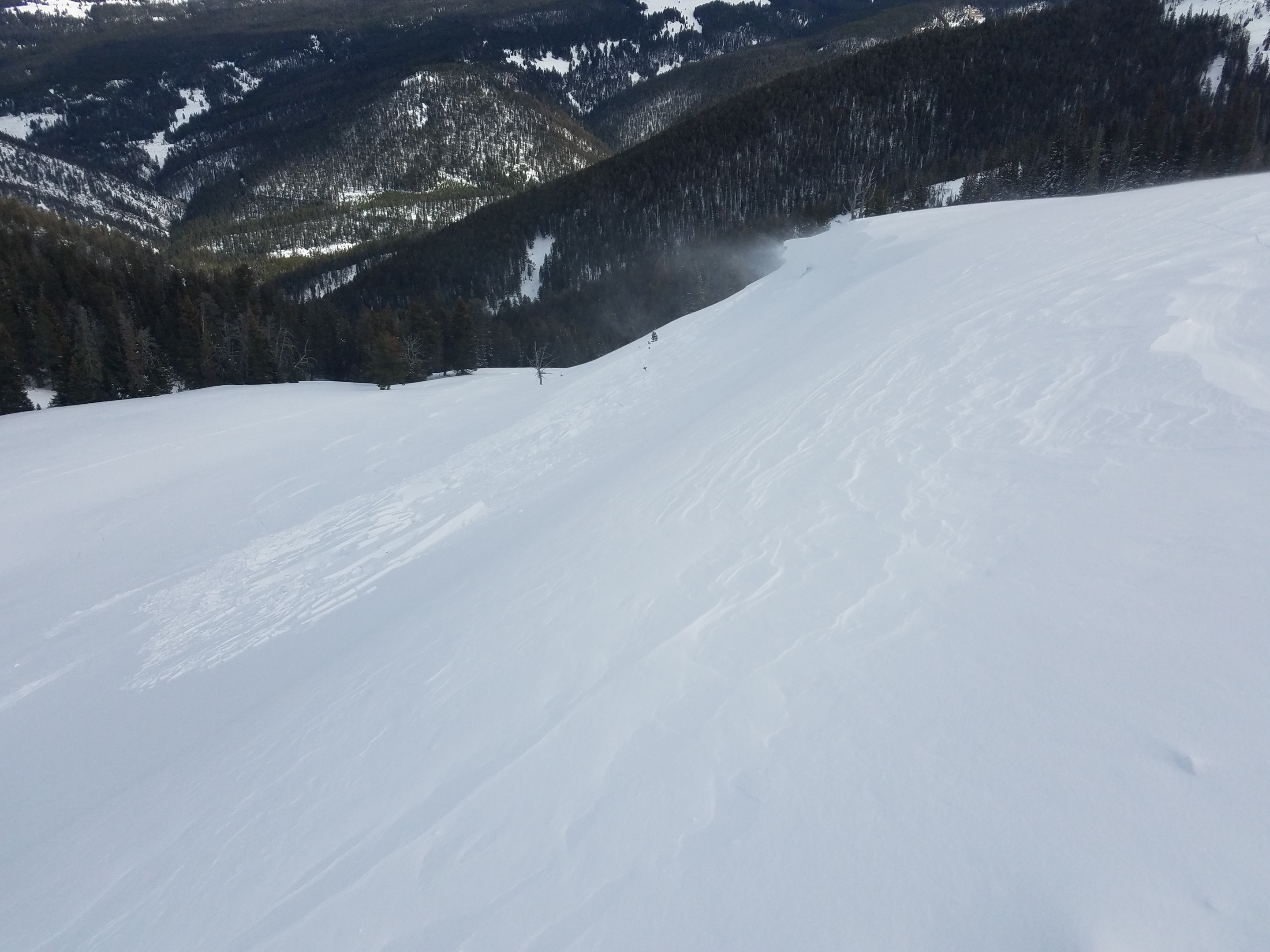 Lick Creek Avalanche