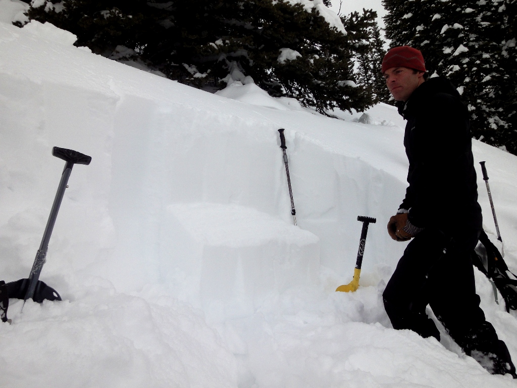 Avalanche Crown Snowpit - 31 March 11