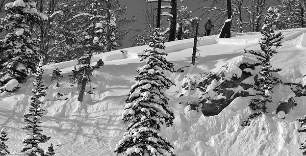 Soft Slab Avalanches in Cooke City