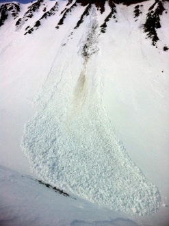 Wet loose avalanche - Northern Madison Range